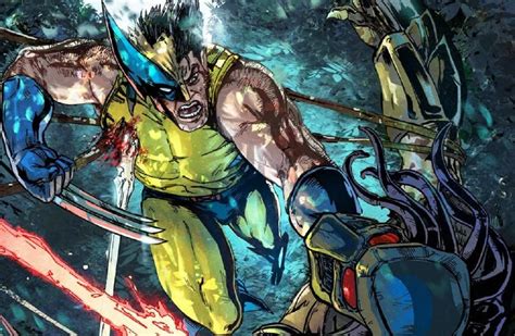 Predator vs. Wolverine: Cases Of Yautja Hunting Logan | AvP Central