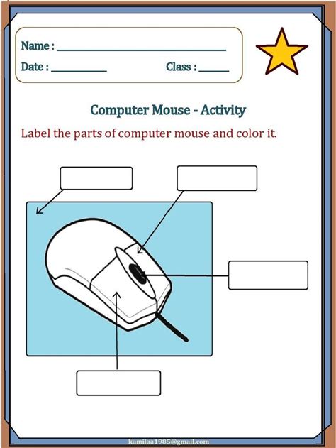 Computer Mouse Parts Labeling Activity