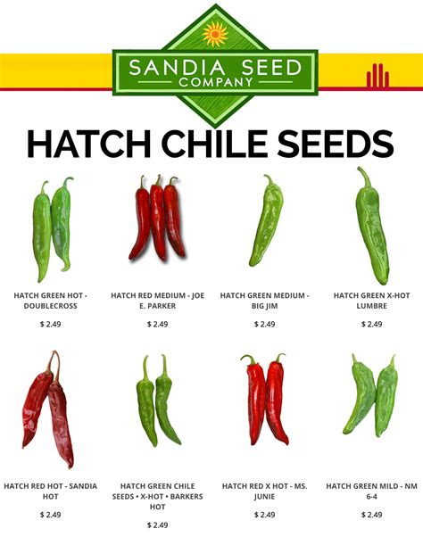 Chile Japones Plant / Pequin Piquin Pepper Seeds / Especias de calidad, chiles, botanas y ...