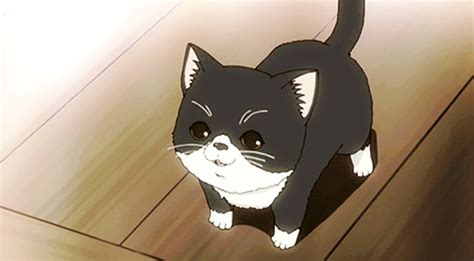 25 Iconic Cats In Anime: The Ultimate Feline List – FandomSpot