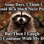 Evil Plotting Raccoon Meme Generator - Imgflip