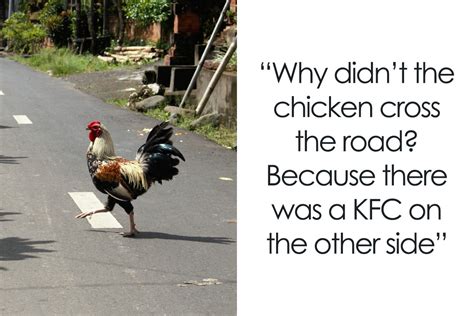 45 ‘Why Did The Chicken Cross The Road’ Jokes That Had Us Clucking With Delight | Bored Panda