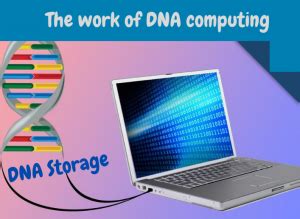 what is dna computing? And why is DNA computing important? | ssla.co.uk