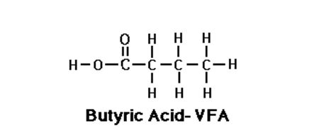 Butyric acid