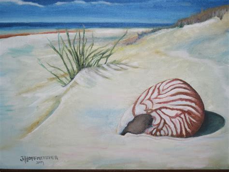 Shell on Beach 2013 Oil on Canvas 12" X 16" | Art portfolio, Art, Painting & drawing