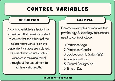 25 Control Variables Examples (2025)