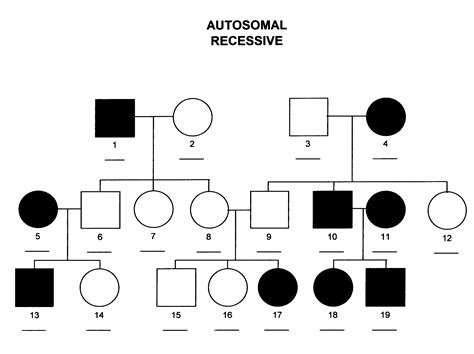 Pedigree: a family tree with the history of a family trait showed across generations, circles ...