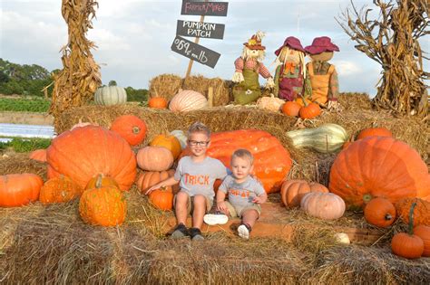 Farmer Mike’s Fall Fest & Corn Maze | 256/365 Things to Do