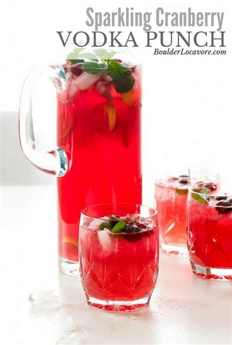 Cranberry Vodka Punch, Cranberry Ginger Ale, Raspberry Vodka, Cranberry Punch Recipes With ...