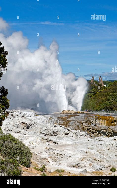 Pohutu and Prince of Wales Geysers, Whakarewarewa Thermal Village ...