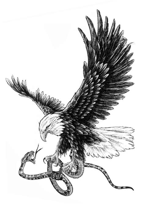 eagle and snake - Google Search | Eagle tattoo, Snake tattoo, Snake tattoo design