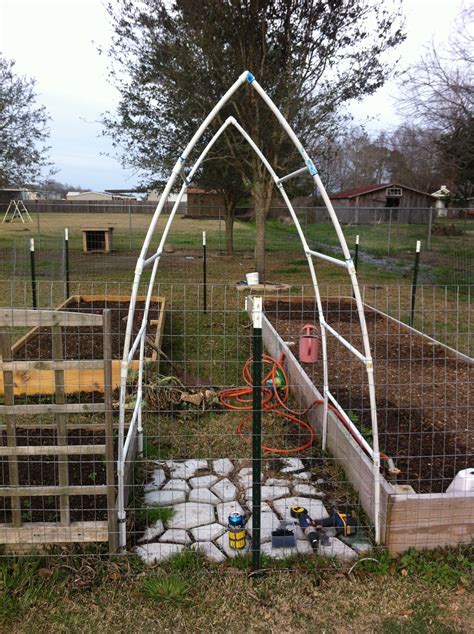 This is a garden trellis we made from PVC. Planted the plants close to edge if the bed and let ...