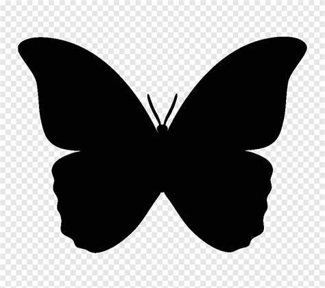 Téléchargement Gratuit | Papillon Silhouette, papillon, cdr, feuille png | PNGEgg