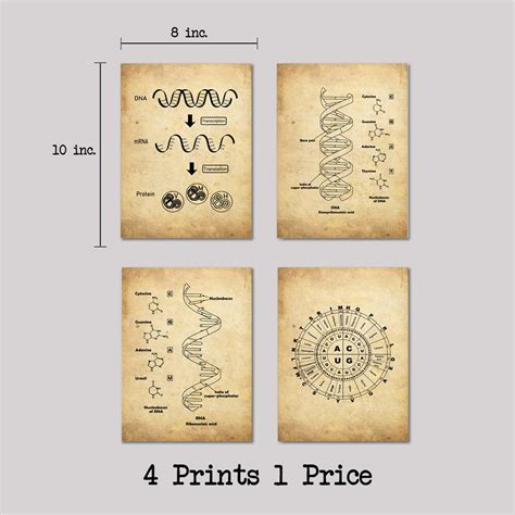 Vintage DNA and RNA Genetic Code Set Dna Wall Decor Rna Art - Etsy