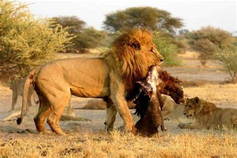 Namibia Etosha and Sossusvlei 6-Day Safari with Accommodation 2023 - Windhoek