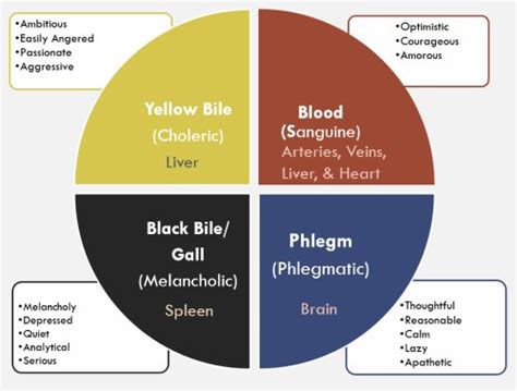 What is choleric temperament | Describing the Choleric Temperament