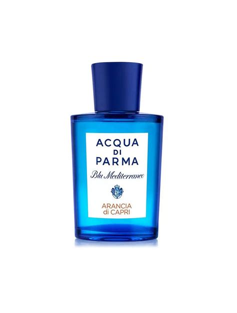 Ultimate Guide To 6 Best Men's Fragrances for Summer 2023