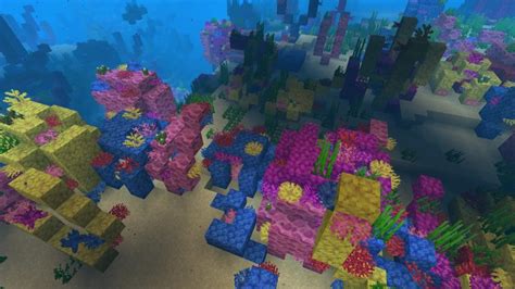 Warm Ocean Seeds - Wiki Guide - Mc-Mod.Net