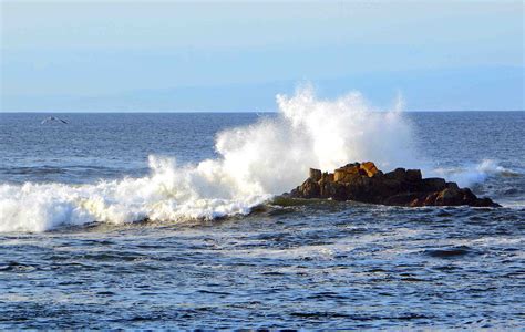 Waves crashing the rocks at Pacific Grove CA beach. (c) Richard Bauman ...