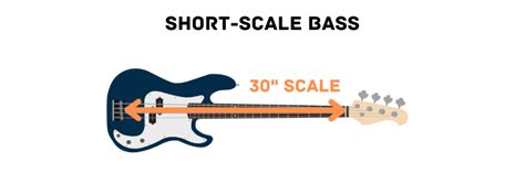 Short vs Long Scale Bass Guitars: Complete Comparison - Pro Sound HQ