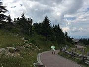 Category:Mount Mitchell Summit Trail - Wikimedia Commons