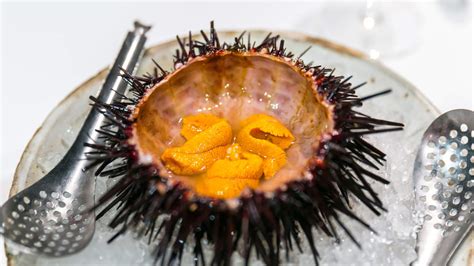 Uni, ウニ (Sea Urchin) — Sushi Modern