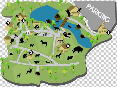 Riverside Discovery Center Honolulu Zoo Map PNG, Clipart, Area, Bestzoo, Drawing, Gift Shop ...