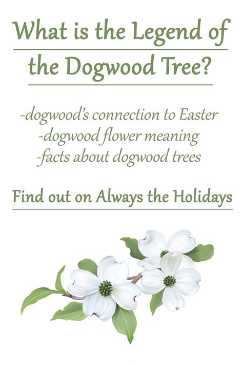 What Is The Story Behind The Dogwood Tree