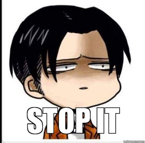 funny levi pictures | Anime memes funny, Attack on titan funny, Levi funny