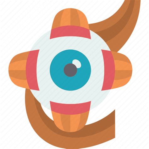 Eye, muscles, optic, nerve, anatomy icon - Download on Iconfinder