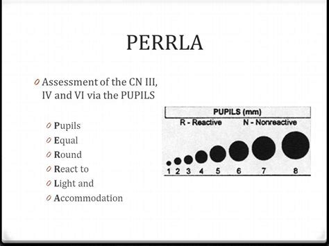 PERRLA assessment | Nursing school survival, Nursing school tips ...