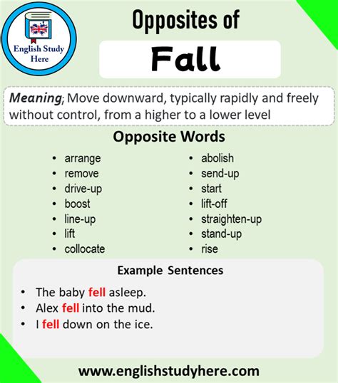 Opposite of Fall, Antonym of Fall, 20 Opposite Words For Fall - English ...