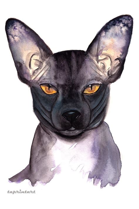 Sphynx cat watercolour painting Sphynx cat print wall art | Etsy in 2021 | Watercolor cat, Etsy ...