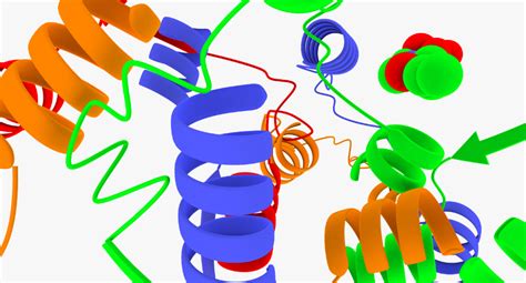 3d animation enzymes model | 3d animation, Enzymes, Animation