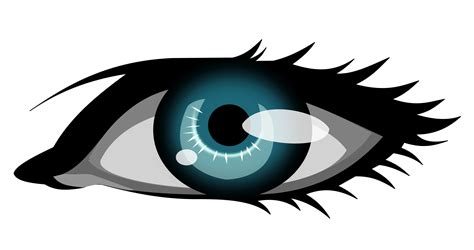 Cartoon Eye Transparent Background : Eye Clip Art At Clker.com ...