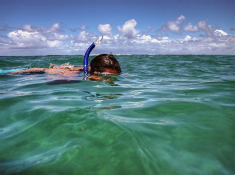 Kauai's Best Snorkeling Beaches & Tips | Suite Paradise