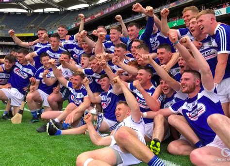 Great news for Laois hurling after GAA Congress backs Leinster Council ...