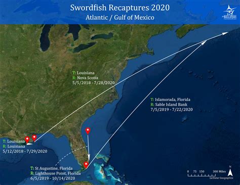 2020 Conservation Record: Swordfish