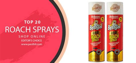 Best Roach Spray 2022 | TOP 20 Roach Sprays