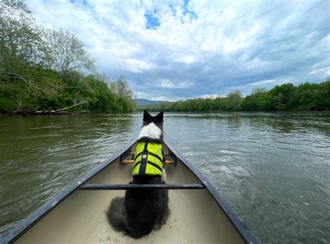 Summer Fun in the Shenandoah Valley - Shenandoah Valley