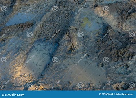 Wheel Track on Mud, Tire Tracks on a Muddy Road Stock Photo - Image of ...