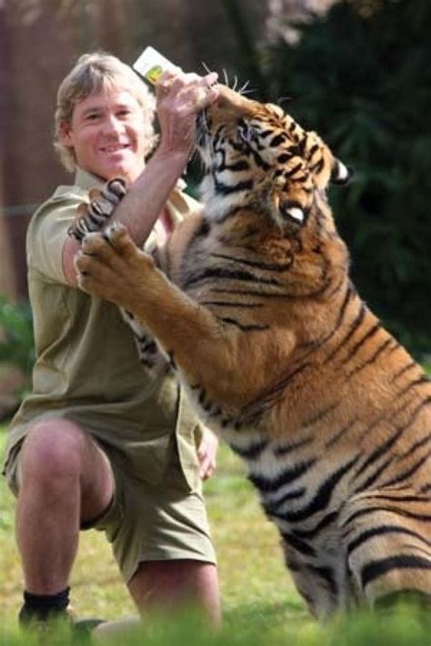 Stephen Robert "Steve" Irwin, nicknamed "The Crocodile Hunter", was an Australian wildlife ...