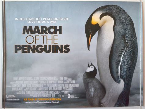 March Of The Penguins - Original Cinema Movie Poster From pastposters.com British Quad Posters ...