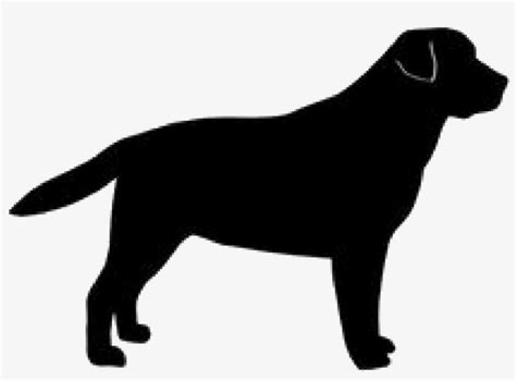 A Black Dog - Labrador Retriever Silhouette Png - Free Transparent PNG Download - PNGkey