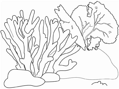 Coral Drawing | Coral Coloring | Coral reef drawing | Pinterest | Coloring, Coloring Pages and ...