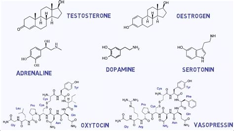 Chemical Structure Of Love