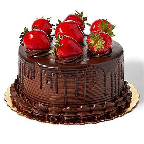 Chocolate Lovers Delight Cake : Publix.com