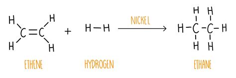 Alkenes and Alcohols (AQA) — the science hive