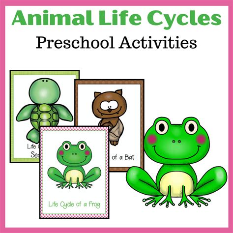 Animal Life Cycle Lesson Plans