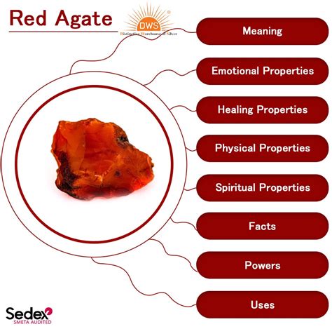 Aggregate more than 70 red agate bracelet benefits best - ceg.edu.vn